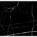 Nero Marquina