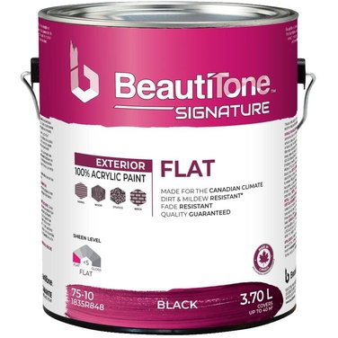 Beauti-Tone Signature Paint - Flat, 3.7 L