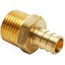 WATERLINE PRODUCTS 1/2" PEX x 1/2" MPT Brass Adapter