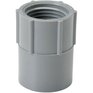 CARLON Schedule 40 PVC Female Adapter - 1/2"