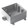 CARLON 3/4" FSE PVC Double Gang Box