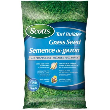 Scotts Turf Builder All Purpose Grass Seed - 5 kg