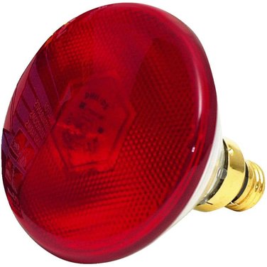 PHILIPS 175 Watt Red Hard Glass Heat Lamp