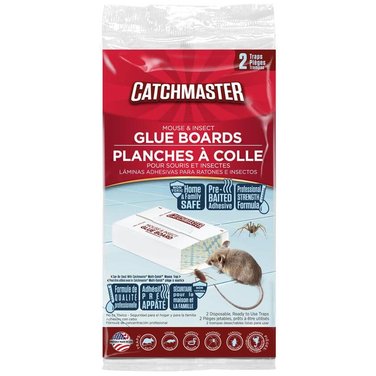 CATCHMASTER Mouse & Insect Glue Boards - 2 Pack
