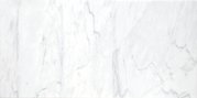 12x24 Bianco Venatino Polished Marble