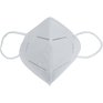 Fusion KN95 Disposable Respirator Masks