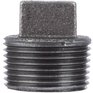 "Share 3/4"" Black Iron Cored Plug"