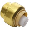 Waterline Products 1/2" Push 'N' Connect Push Fit Brass Test Cap