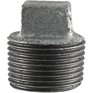 PLUMB-EEZE 1/2" Galvanized Cored Plug