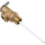 CASH ACME 3/4" Temperature & Pressure Relief Valve