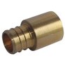WATERLINE PRODUCTS 1/2" PEX x 1/2" FPT Sweat Brass Adapters - 25 Pack