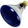 REACTOR 100W PAR38 Medium Base Blue Indoor & Outdoor Flood Light Bulb