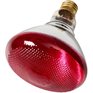 REACTOR 100W PAR38 Medium Base Red Indoor & Outdoor Flood Light Bulb