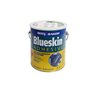 Henry Bakor BK101658 3.5-Litre BlueSkin Adhesive Primer for Self-Adhered Membranes