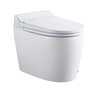 Ecoway Titan DT-300 One Piece Toilet