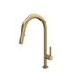Tenerife Pull-Down Faucet