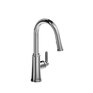 Trattoria Pulldown Faucet